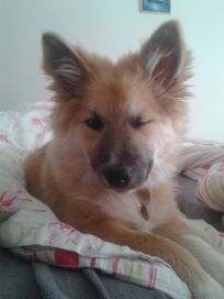 Baldur